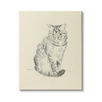 Stupell Industries House Cat Pet portret creion schiță Ilustrație tradițională, 30, Design de Jacob Green