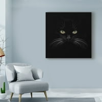 Marcă comercială Artă Plastică 'pisică neagră centrată' artă pe pânză de Lori Hutchison