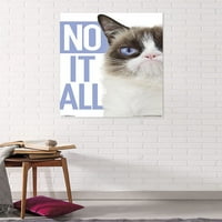 Grumpy Cat-Albastru Poster Mount Bundle