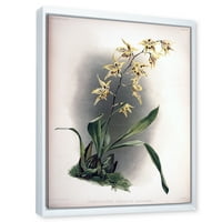 Designart 'Floare De Orhidee Antică' Imprimare Tradițională De Artă De Perete Din Pânză Încadrată