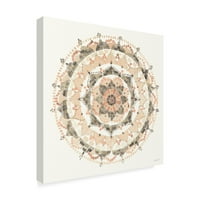 Marcă comercială Fine Art 'Blush Mandala' Canvas Art de Danhui Nai