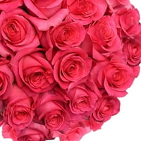 Proaspăt Tăiat Trandafiri Roz Fierbinte, 20