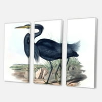 Designart 'Ancient Australian Birds III' imprimare tradițională de artă de perete din pânză