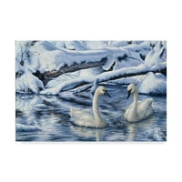 Marcă comercială Fine Art 'Tundra Swans' Canvas Art de Jeff Tift