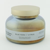 Better Homes & Gardens 18oz Albastru ferigă & citrice parfumate 2-fitil irizat Bell Jar lumânare
