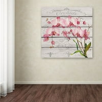 Marcă comercială Fine Art 'Pink Orchids' Canvas Art de Jean Plout