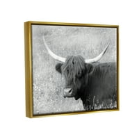 Stupell Farmhouse Bovine Highland Portret Animale & Insecte Fotografie Aur Floater Înrămate Arta Imprimare Arta De Perete