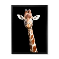 Designart 'Aproape Portret De O Girafă Pe Negru V' Fermă Încadrată Art Print