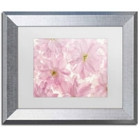 Marcă comercială Fine Art 'Pink Cherry Blossom' Canvas Art de Cora Niele, alb mat, cadru argintiu