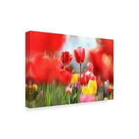 Marcă comercială Fine Art 'Red Tulip Astraction' Canvas Art de Incredi