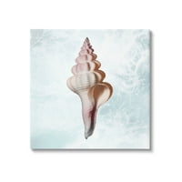 Stupell Industries Ocean Waves Conch Shell Galerie de artă grafică învelită pe pânză imprimată artă de perete, Design de Marcus