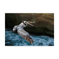 Marcă comercială Artă Plastică 'Pelican Flight' artă pe pânză de Chris Moyer