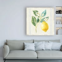 Marcă comercială Fine Art 'Flour sack Lemons I sq Navy' Canvas Art de Danhui Nai