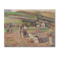 Marcă comercială Artă Plastică 'recolta de cartofi' artă pe pânză de Camille Pissarro