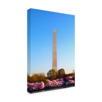 Marcă comercială Fine Art 'Monumentul Washington sub lumină' artă pe pânză de Mitch Catanzaro
