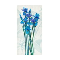 Tim O Toole 'Blue Iris Panel I' Canvas Art