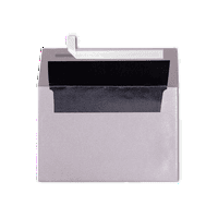 LUXPaper o invitație Plicuri, 1 4, lb. Argint cu căptușeală neagră, pachet