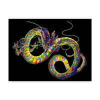 Marcă comercială Fine Art 'Chinese Dragon' Canvas Art de Bob Weer