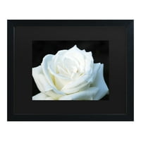 Marcă comercială Fine Art 'White Rose II' Canvas Art de Kurt Shaffer
