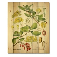 Designart' Ancient Plant Life II ' imprimeu tradițional pe lemn Natural de pin