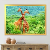 Designart 'Două Girafe Care Se Luptă În Sălbăticie Verde Luxuriantă' Imprimeu De Artă Încadrat La Fermă