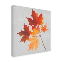 Marcă comercială Fine Art 'Autumn Leaves IV' Canvas Art de Dianne Miller