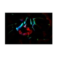 Eva Bane 'Neon Glow în întuneric 03' Canvas Art