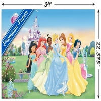 Disney Princess-Poster de perete de colecție cu știfturi, 22.375 34
